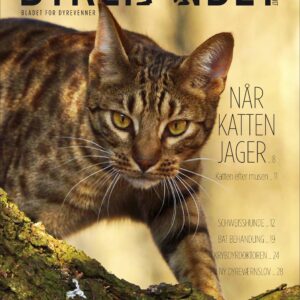 Januar 2017