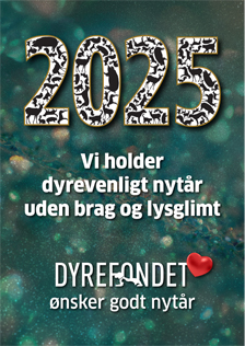 2025-224x316