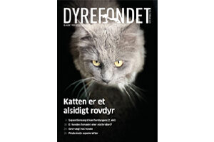 Februar 2025