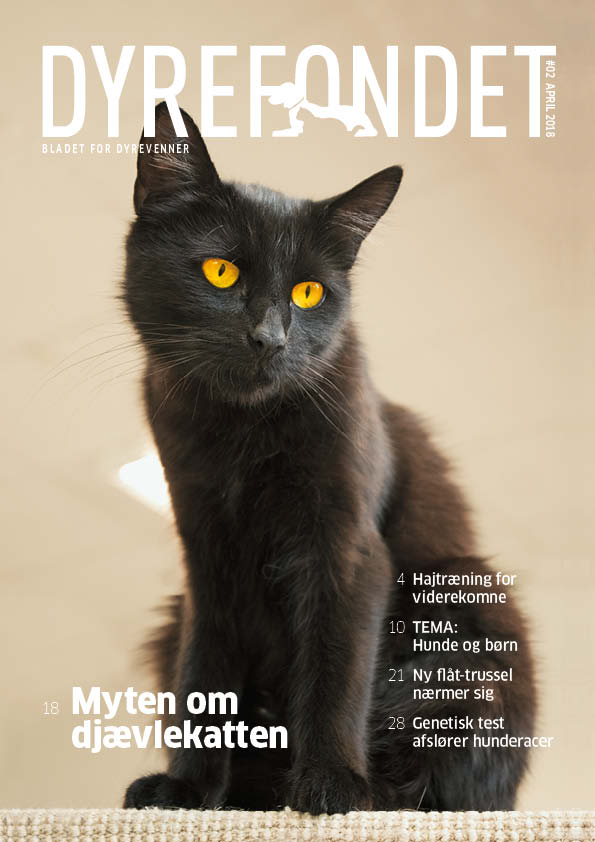 forside-02-apr-2018