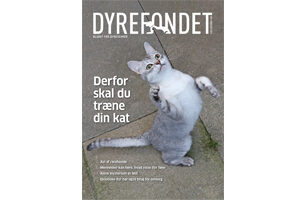 Februar 2023