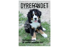 Januar 2019