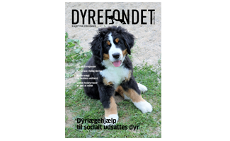 forside-januar-2019