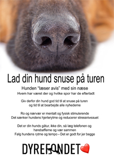 lad-hunden-snuse-224x316