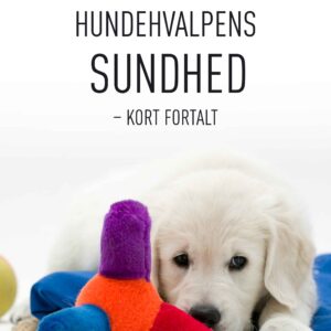 Nr. 2020 Hundehvalpens sundhed August 2018