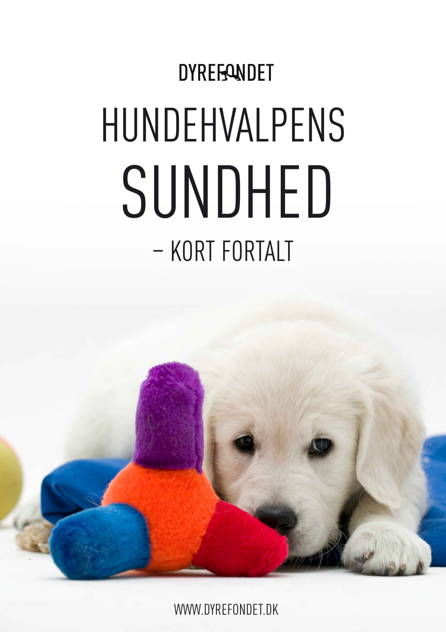 nr-20-hvalpens-sundhed-forside