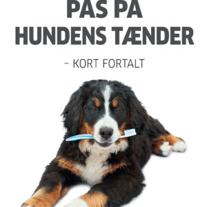 Nr. 2021 Hundens tænder Marts 2022