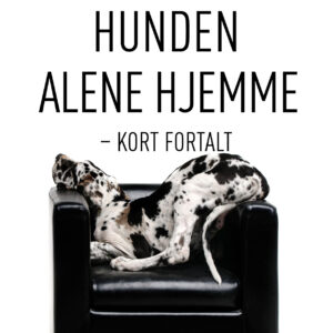 Nr. 2022 Hunden alene hjemme August 2017
