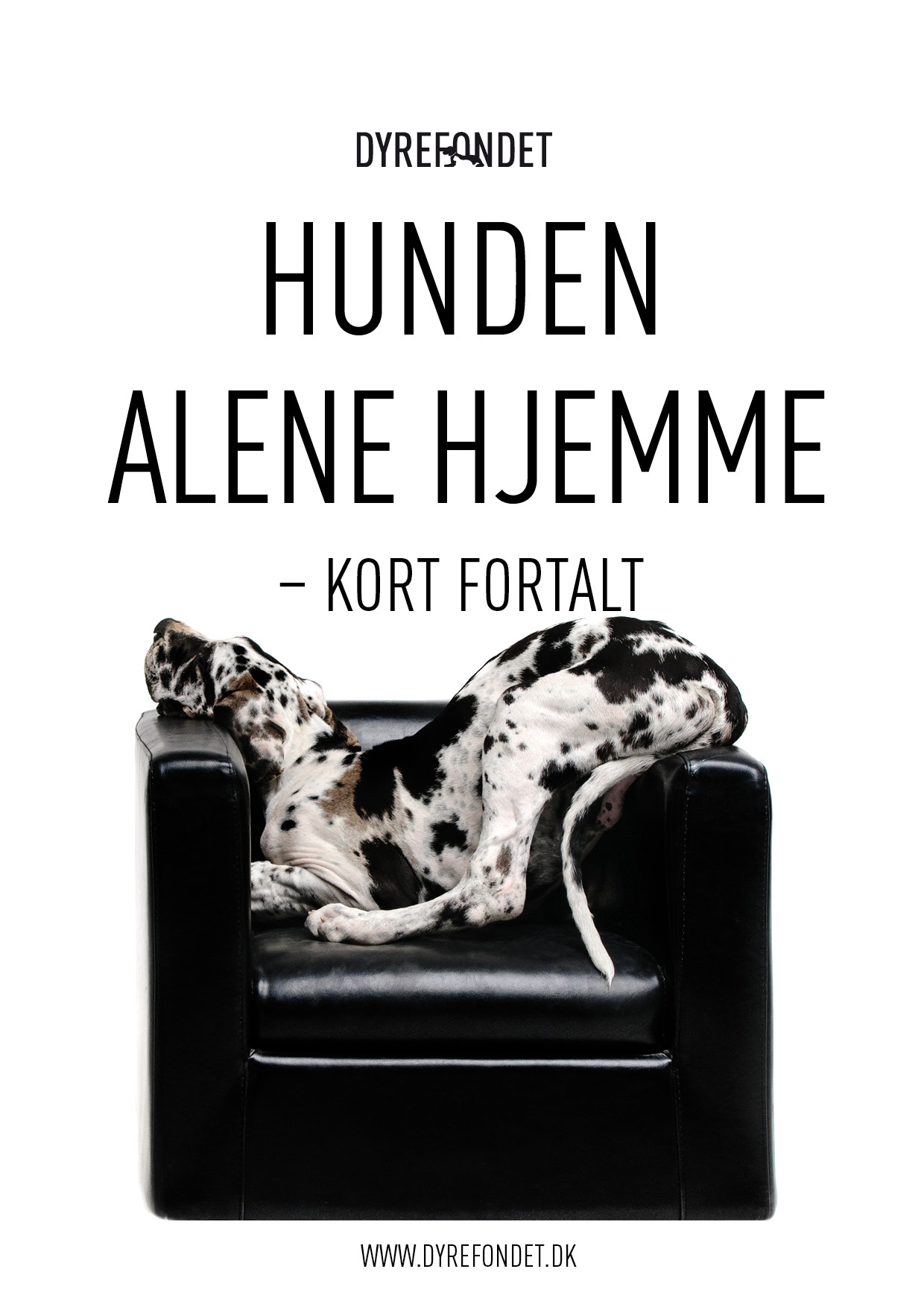 nr-22-hunden_alene_hjemme_forside