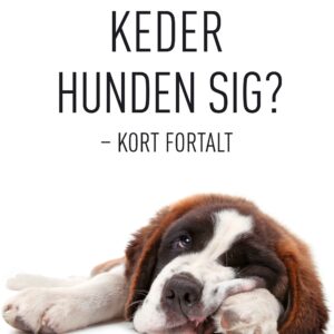 Nr. 2024 Keder hunden sig? Marts 2022