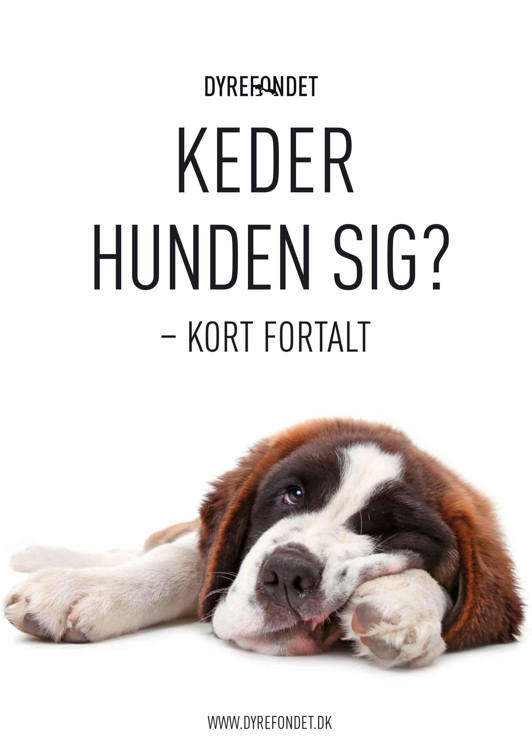 nr-24-keder-hunden-sig-forside