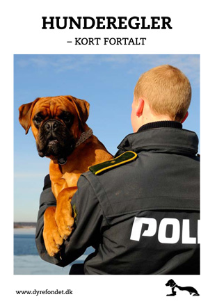 nr-26-hunderegler