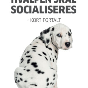 Nr. 2027 Hvalpen skal socialiseres Marts 2022