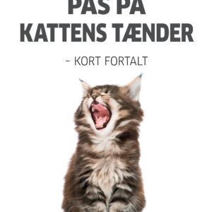 Nr. 2041 Kattens tænder Juli 2018