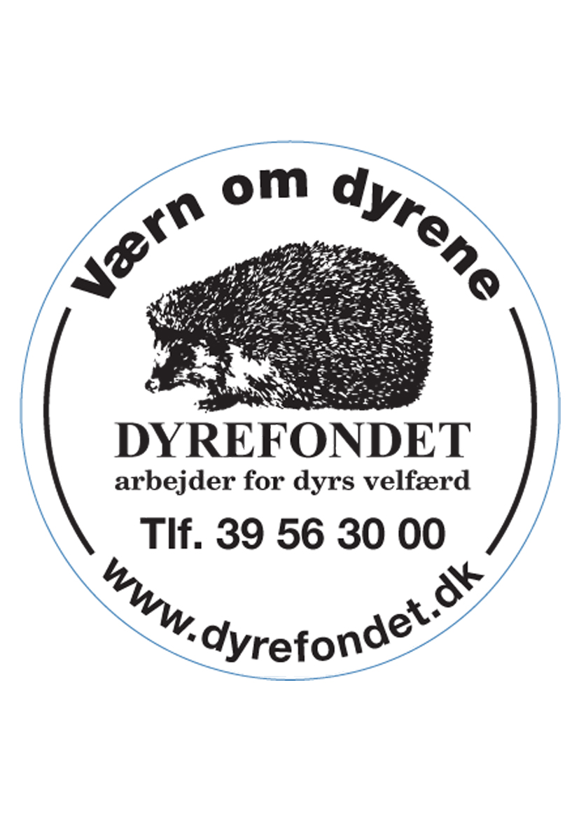 nr-81-vrn_om_dyrene_pindsvinjpg