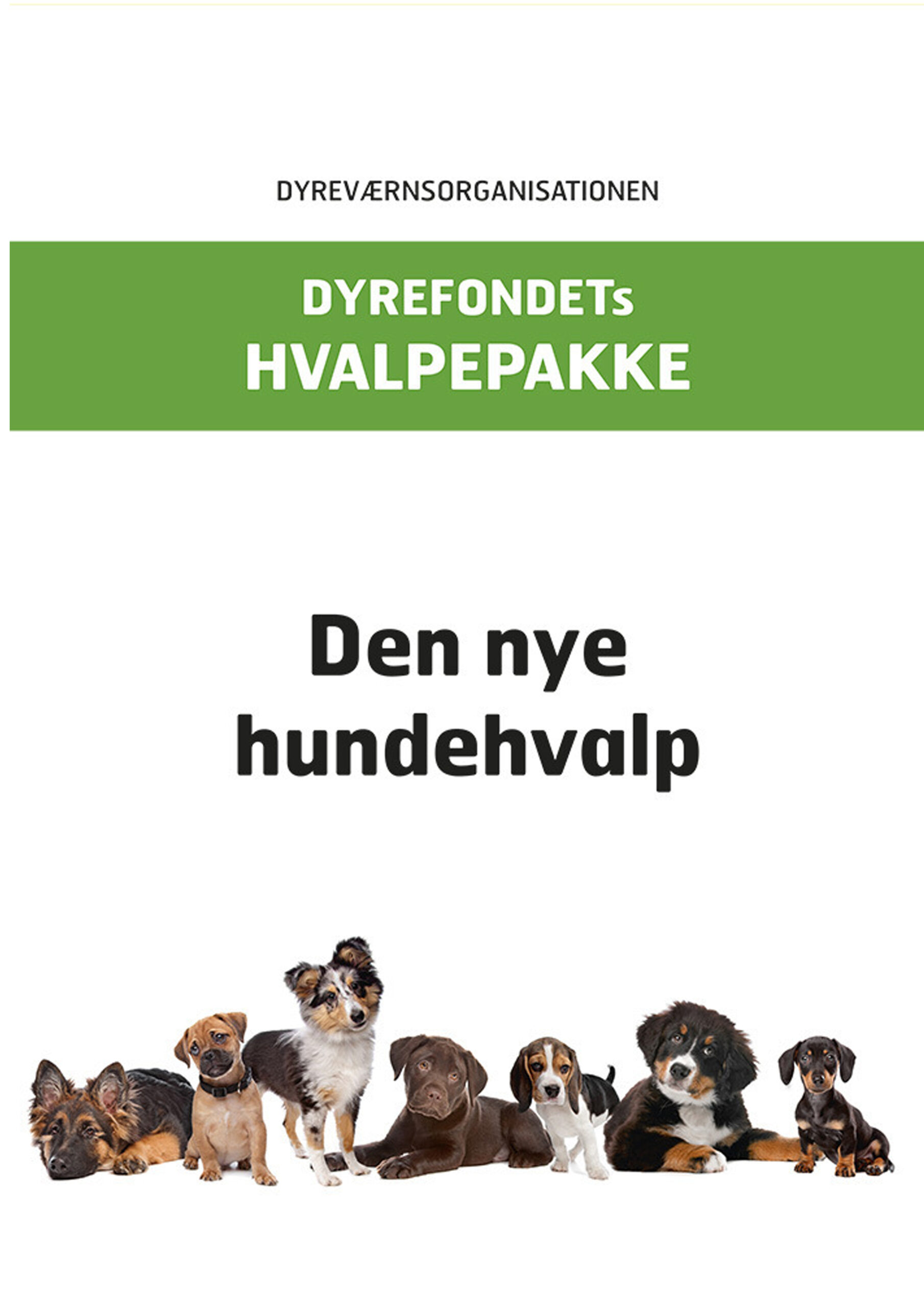 nr-91-hvalpepakke